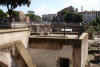 The Colosseum in distance