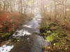 Birks of Aberfeldy