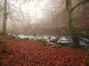 Birks of Aberfeldy beautiful Autumn