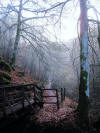 Birks of Aberfeldy bridge and path