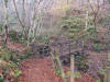 Birks of Aberfeldy bridge on left side