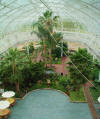Winter Gardens People's Palace Glasgow
