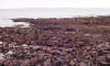 John O'Groats rocky coast