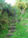 steps to Binnie Crag from the south