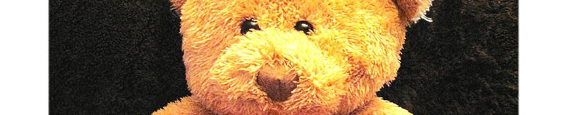 Honey our Xmas Bear