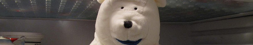 the Starry Towers Birds Eye Bear