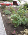 Starry Towers front garden all lovely