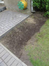 Starry Towers grass seed sewn