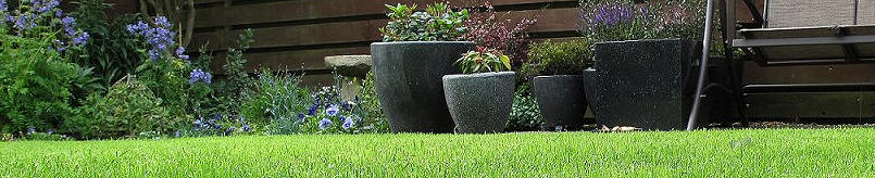 the Starry Towers lawn...after