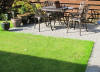 Starry new grass edging
