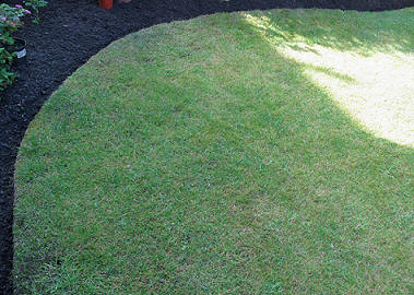 Starry Towers lawn