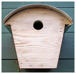 new nesting box